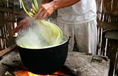 Photo Tour Page 4: <b>Panama</b> Hat Soup