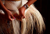 Photo Tour Page 7: Weaving Miracles