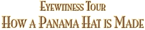 Eyewitness Tour: How a Panama Hat is Made