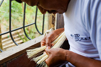 Simon Sorts Straw