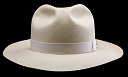 Havana Fedora, Montecristi hat (B127_4557a)