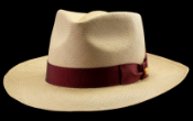 Hemingway's Hat, Montecristi hat (nonumber2_1444)