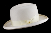 Homburg, Montecristi hat (B388_1771)