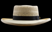 Monte Carlo IS, Montecristi hat (B2285_5964)