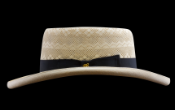 Monte Carlo IS, Montecristi hat (B2285_5965)