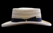 Monte Carlo IS, Montecristi hat (B1069_2609)