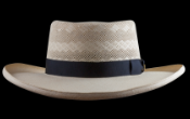 Monte Carlo IS, Montecristi hat (D002_3228)