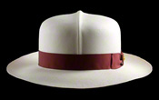 Optima, Montecristi hat (B1857_2425)