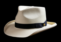 Diplomat hat
